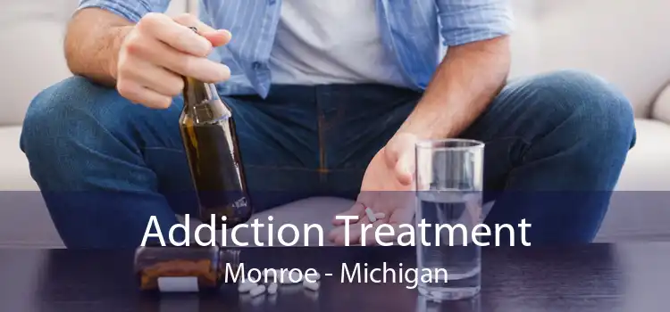 Addiction Treatment Monroe - Michigan