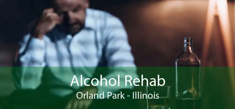 Alcohol Rehab Orland Park - Illinois