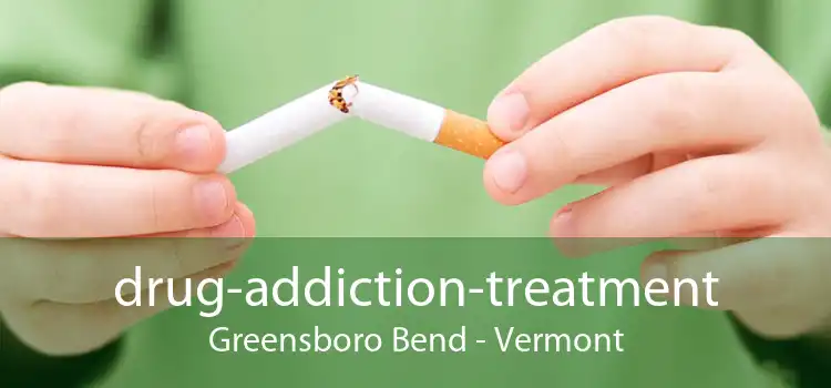 drug-addiction-treatment Greensboro Bend - Vermont