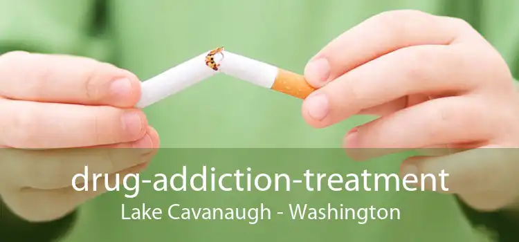 drug-addiction-treatment Lake Cavanaugh - Washington