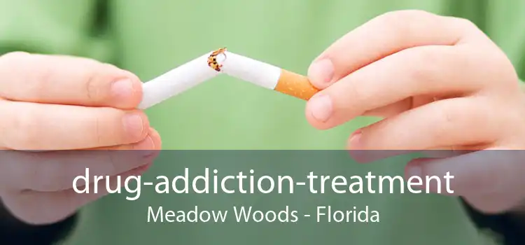 drug-addiction-treatment Meadow Woods - Florida
