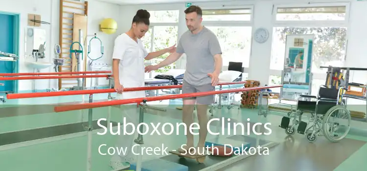 Suboxone Clinics Cow Creek - South Dakota