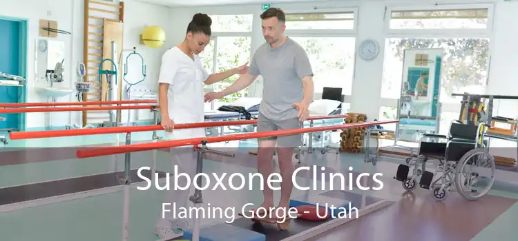 Suboxone Clinics Flaming Gorge - Utah