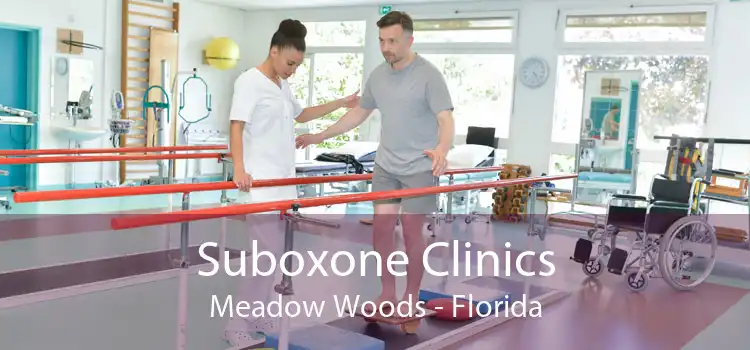 Suboxone Clinics Meadow Woods - Florida